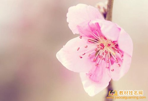 個人出書教輔和教材區(qū)別