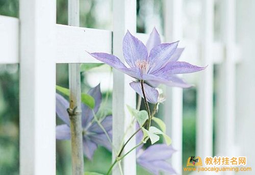山東省自費(fèi)出版教材的流程