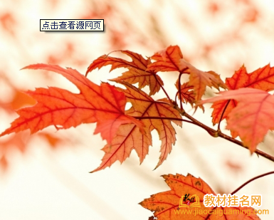 教材位置加分