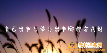 自己出書與參與出書哪種方式好
