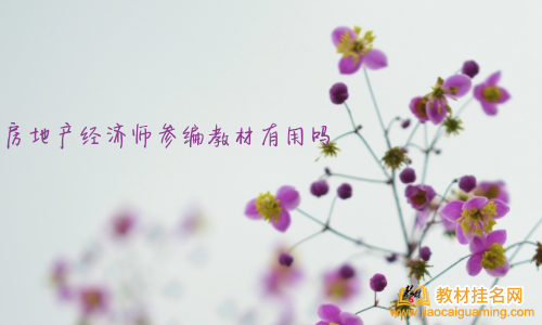 房地產經濟師參編教材有用嗎